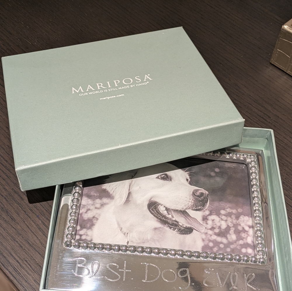 Mariposa picture frame